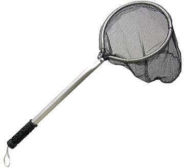SILVERSTAR LİVAR KEPÇESİ